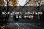 糖心Vlog全网炸锅！业内人士深夜爆料，震撼内幕全解析