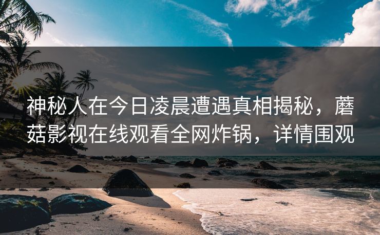 神秘人在今日凌晨遭遇真相揭秘,蘑菇影视在线观看全网炸锅,详情围观 神秘人在今日凌晨遭遇真相揭秘,蘑菇影视在线观看全网炸锅,详情围观