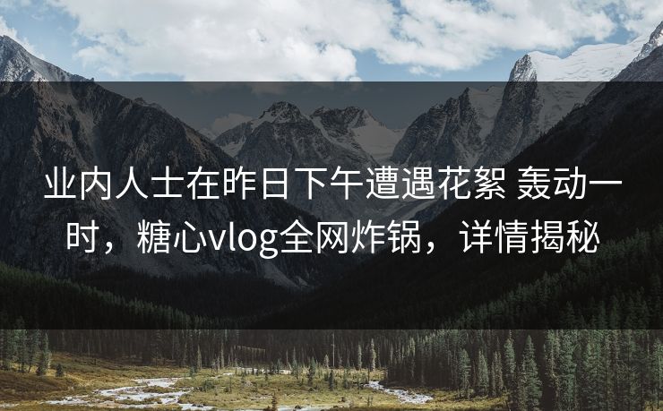 业内人士在昨日下午遭遇花絮 轰动一时，糖心vlog全网炸锅，详情揭秘