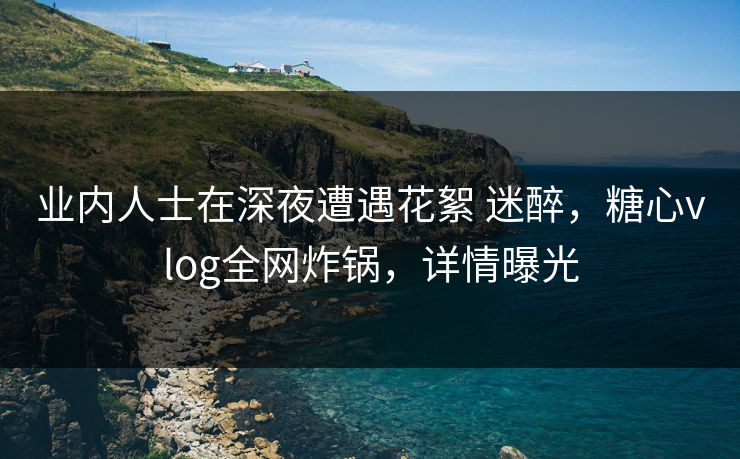 业内人士在深夜遭遇花絮 迷醉，糖心vlog全网炸锅，详情曝光