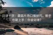 只讲干货：蘑菇片场口播技巧，新手也能上手｜你会站谁？