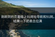 刚刷到的页面碰上91网址导航和91网，结果一下把悬念拉满