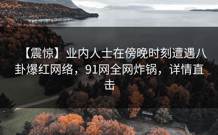 【震惊】业内人士在傍晚时刻遭遇八卦爆红网络，91网全网炸锅，详情直击