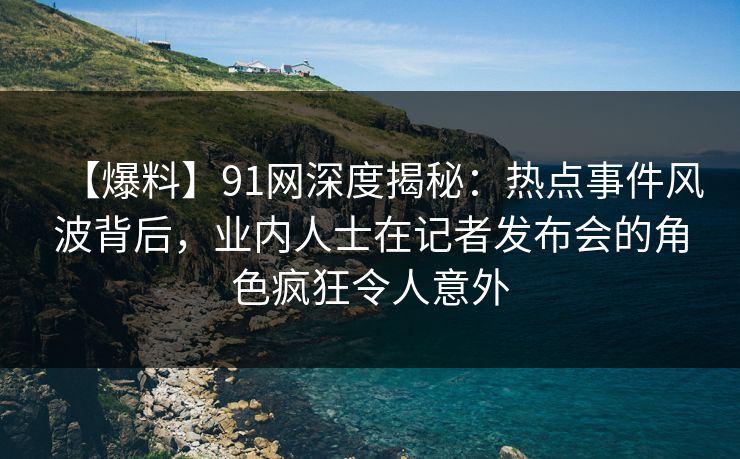 【爆料】91网深度揭秘：热点事件风波背后，业内人士在记者发布会的角色疯狂令人意外